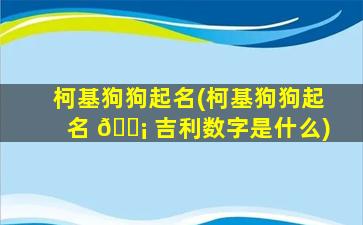 柯基狗狗起名(柯基狗狗起名 🐡 吉利数字是什么)